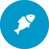 pescado pescado